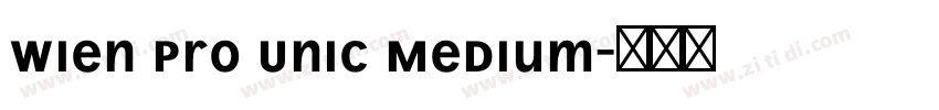 Wien Pro Unic Medium字体转换